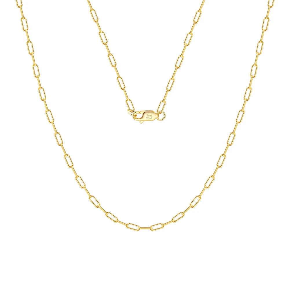 Veruccia paperclip necklace on a white background