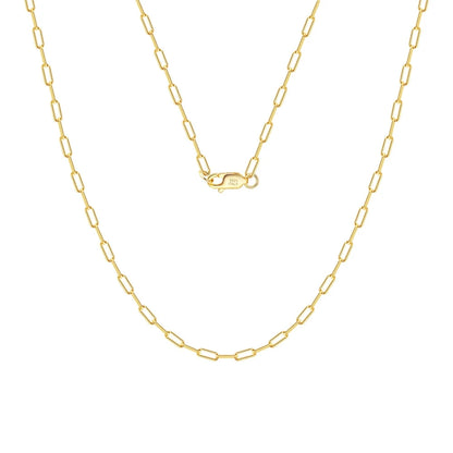 Veruccia paperclip necklace on a white background