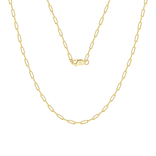 Veruccia paperclip necklace on a white background
